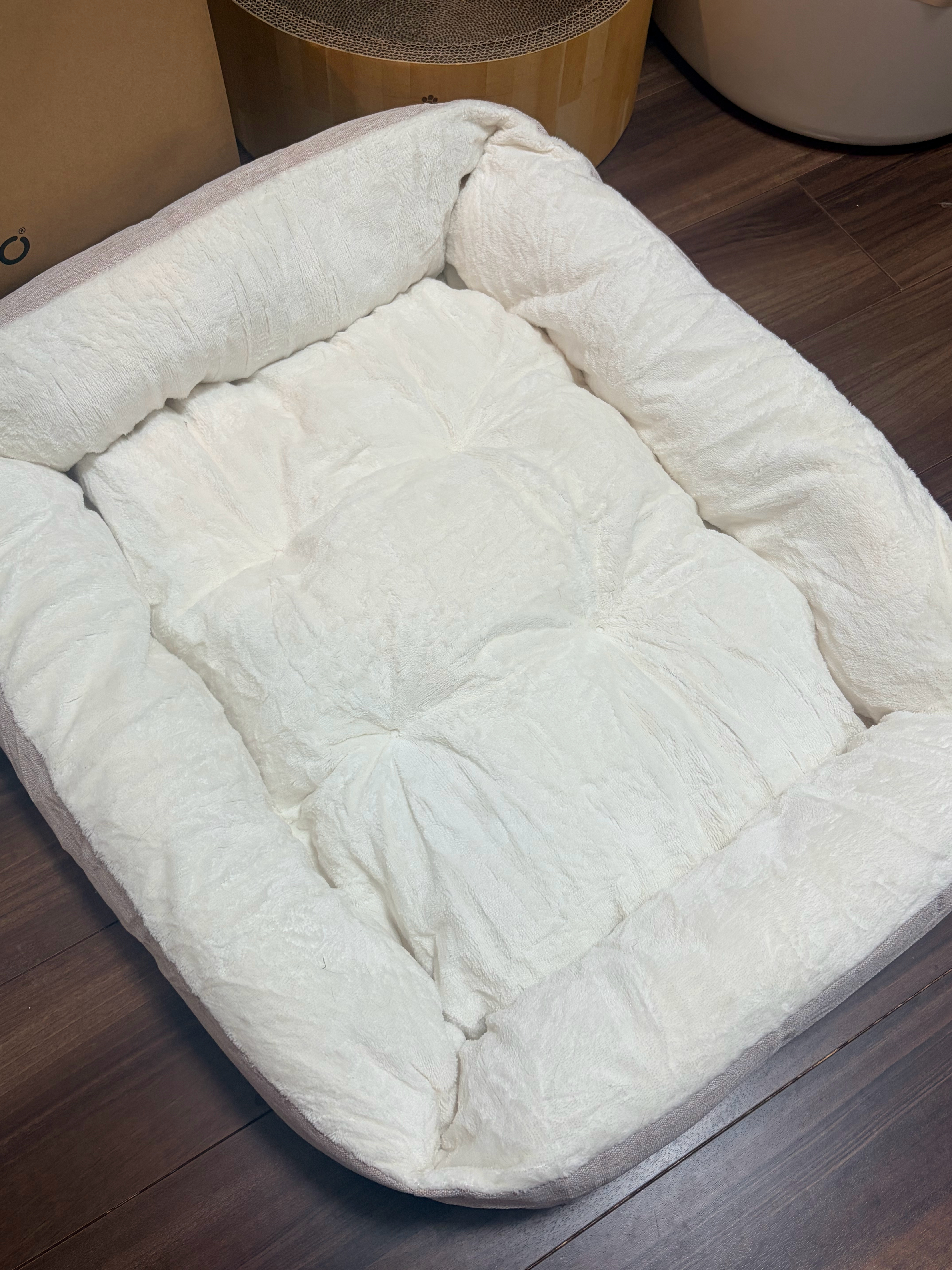 无视猫窝精准进入纸箱这条猫界定律含金量还在上升 
