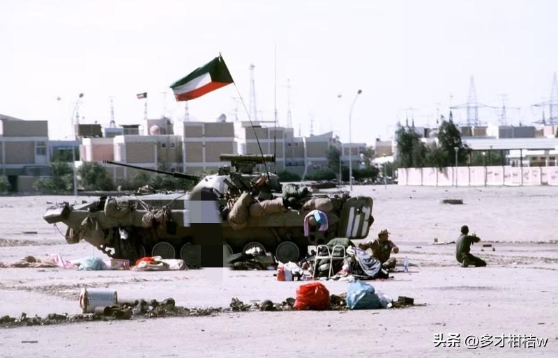 简单的说，科威特从白蓝红莫斯科进口武器的种类主要集中在步兵战车方面，例如BMP-
