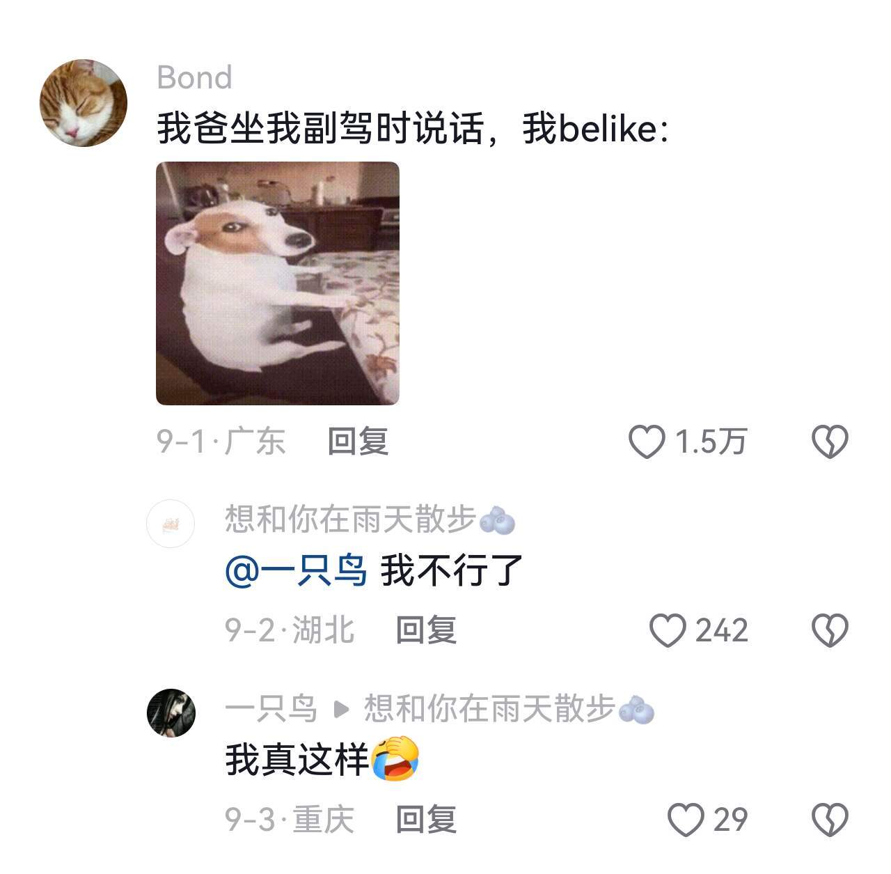 考完科四还得考来自父亲的科五 直到我爸坐上副驾 才明白教练的脾气有多好 ​​​