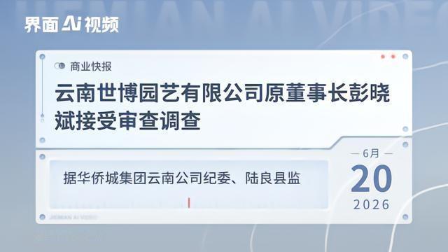 一个厂长家的养女，十九岁未婚先孕，登记时孩子都生下来了。你猜所有人怎么说？龙生龙