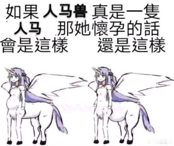 ？memes迷译图