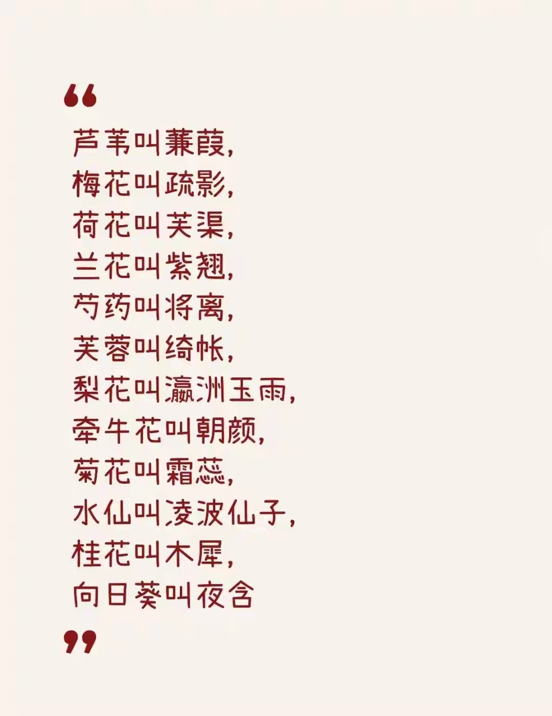 雅 ​​​