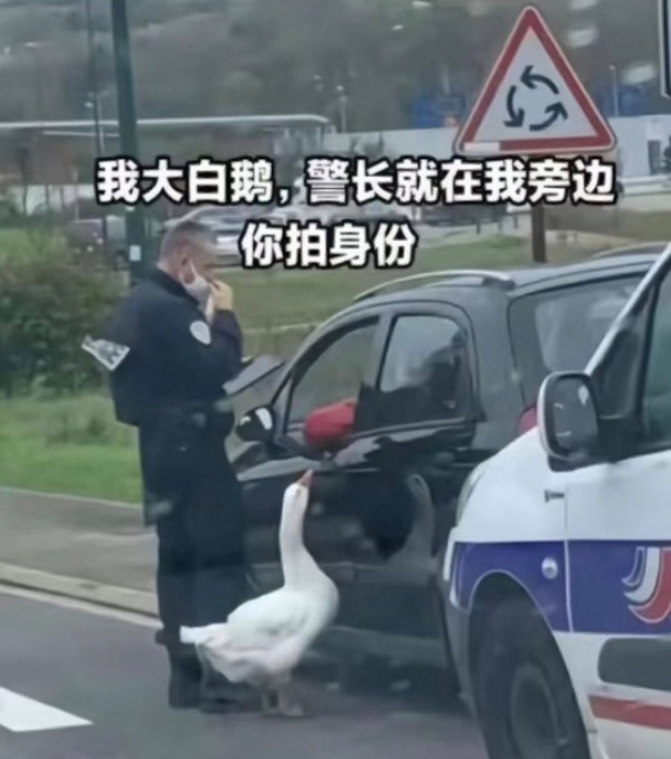 鹅鸭杀玩多了主要有三点后遗症：1.当鹅傻傻做任务手指头疼2.碰到人就要换真心3.