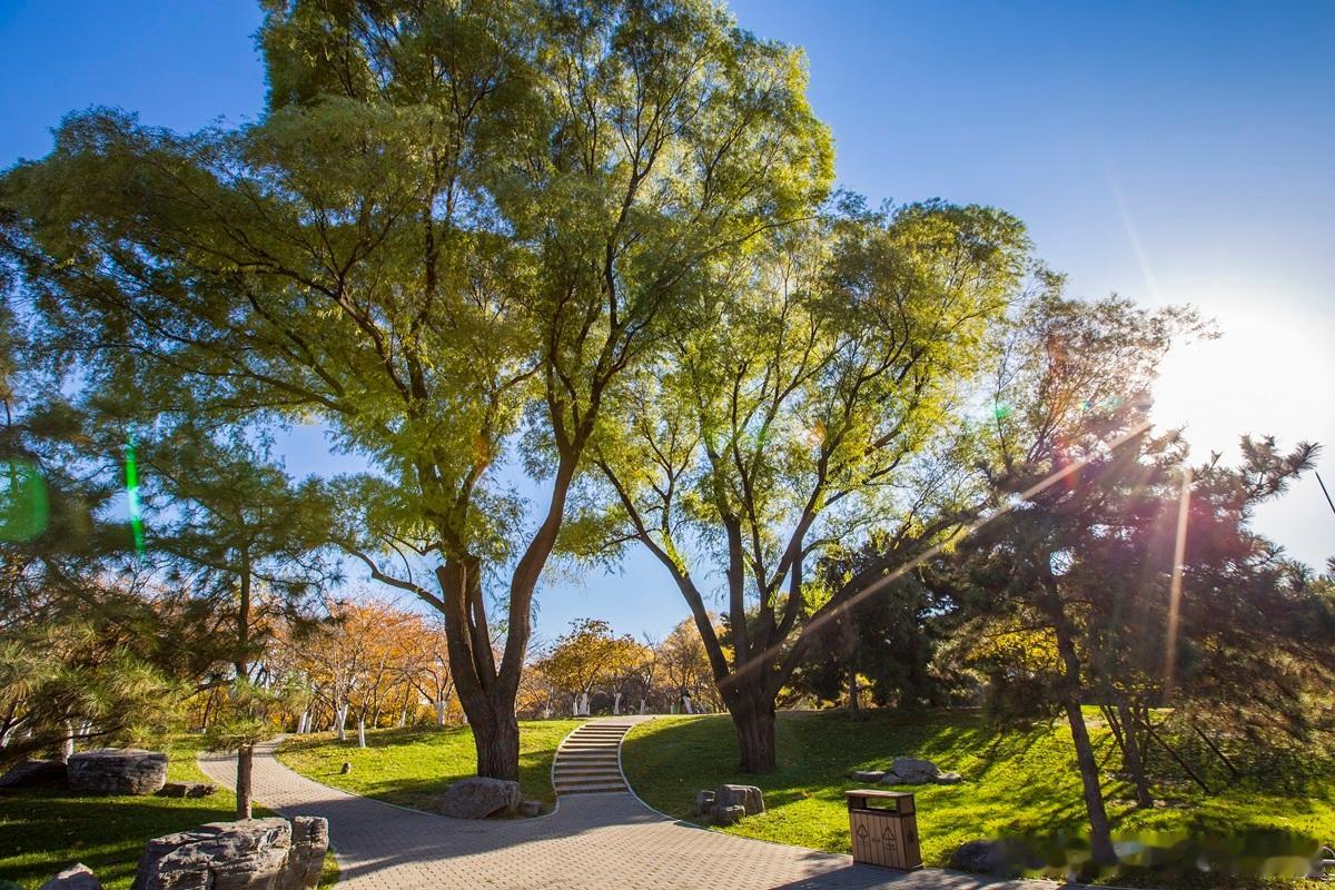 每次清科和投中出年度投资人排行榜，前五基本是老面孔LP找GP也基本会看这些排行榜