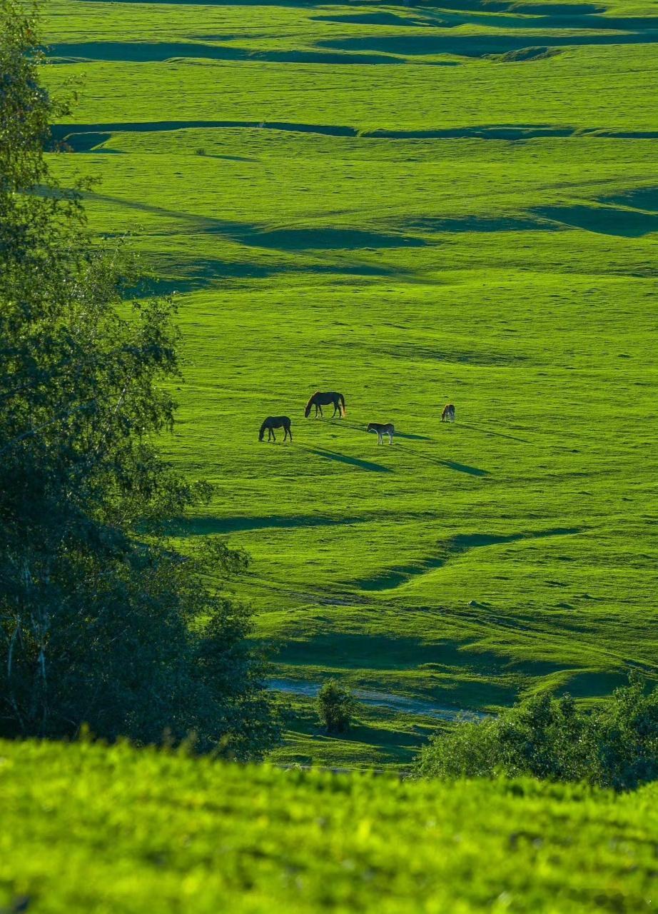 早安早安心语早安,新的一天  早安心语超话  治愈不开心人生感悟人生微语每天说早