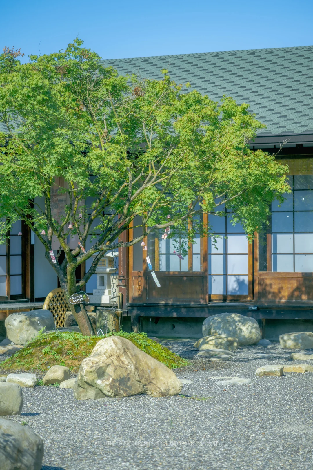 遇见瑞安慈云禅寺，领略唐代建筑之美！