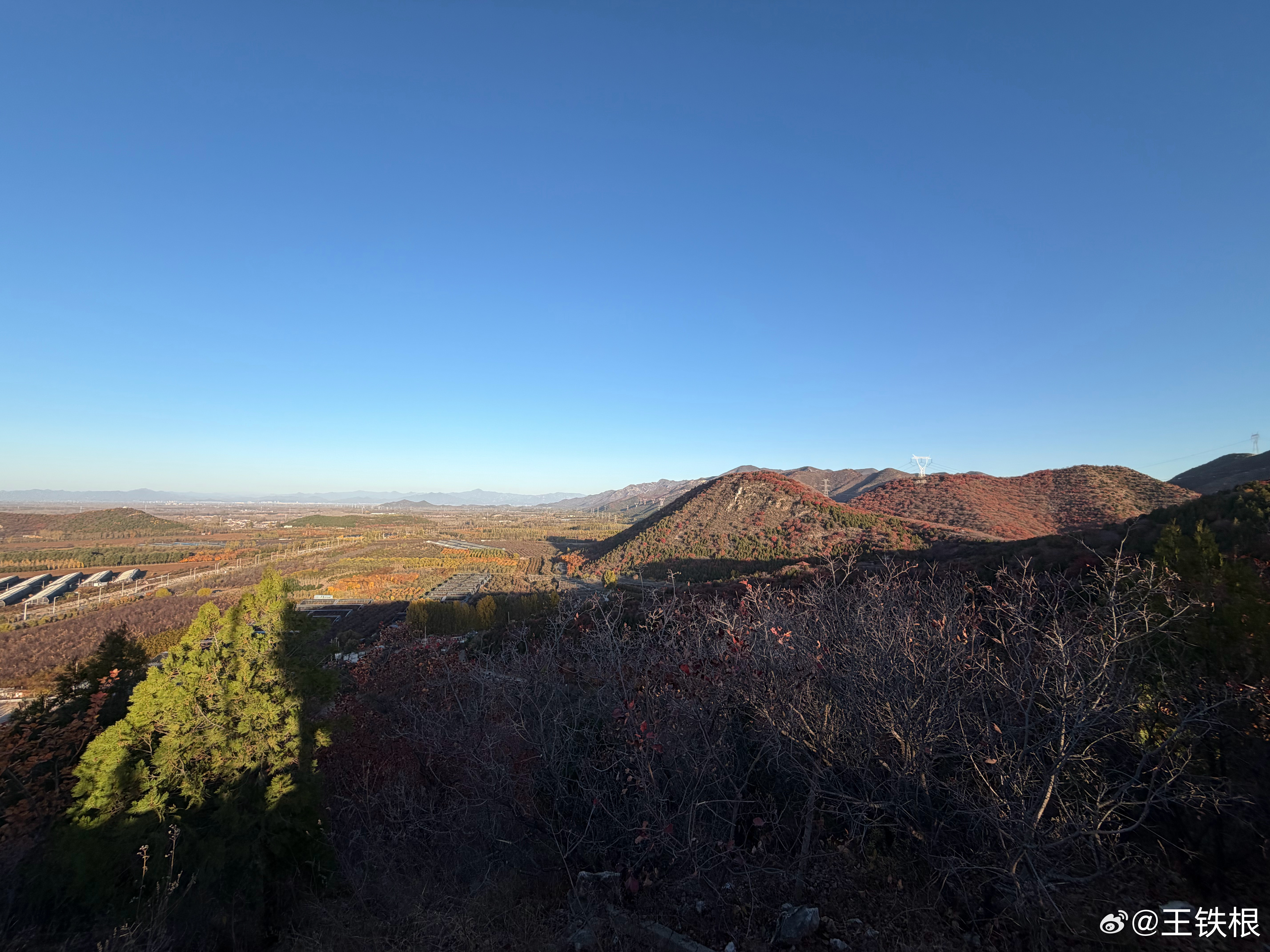 今天太对啦，早上6点起床爬山，美女队员帮我放松大腿肌肉，下山后喝一杯精品咖啡，开