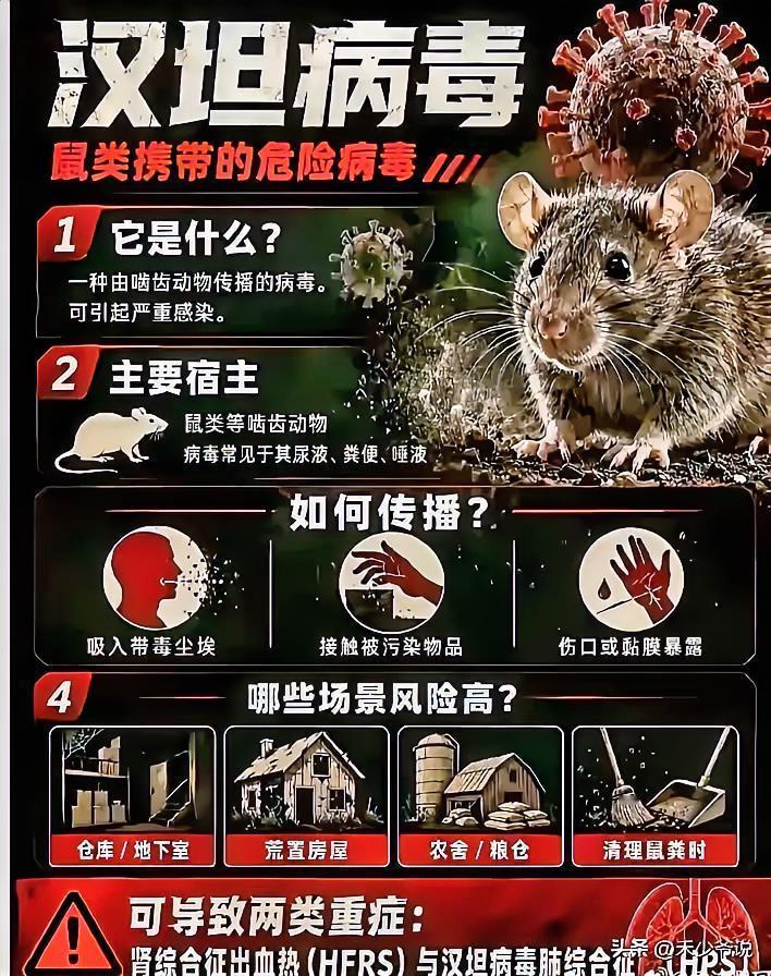 西方写惯了的剧本被中国游客完美的避开了
根据媒体报道，一名洪迪厄斯号邮轮上的中国