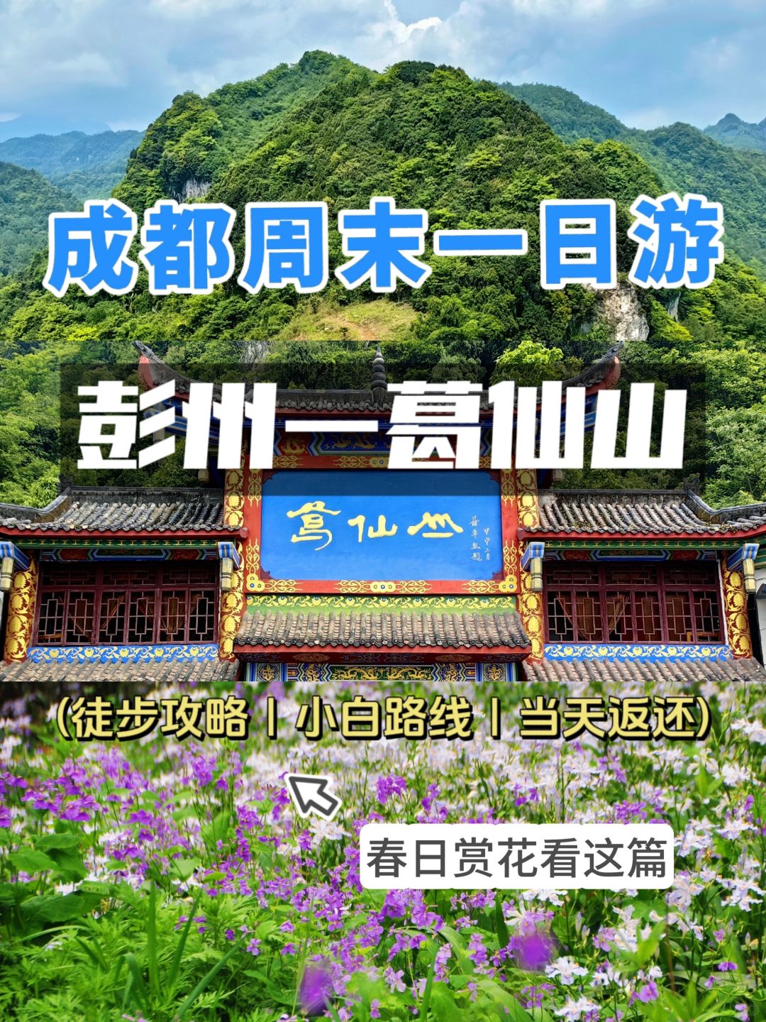 彭州-葛仙山春季1日游❗️周末踏青赏花路线