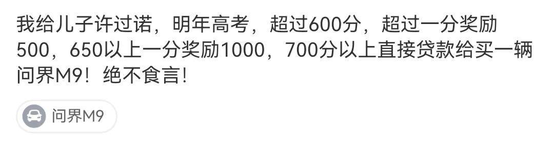 网友：这哪里是奖励孩子，分明是自己想开，这“饼”画的孩子难以消化。
