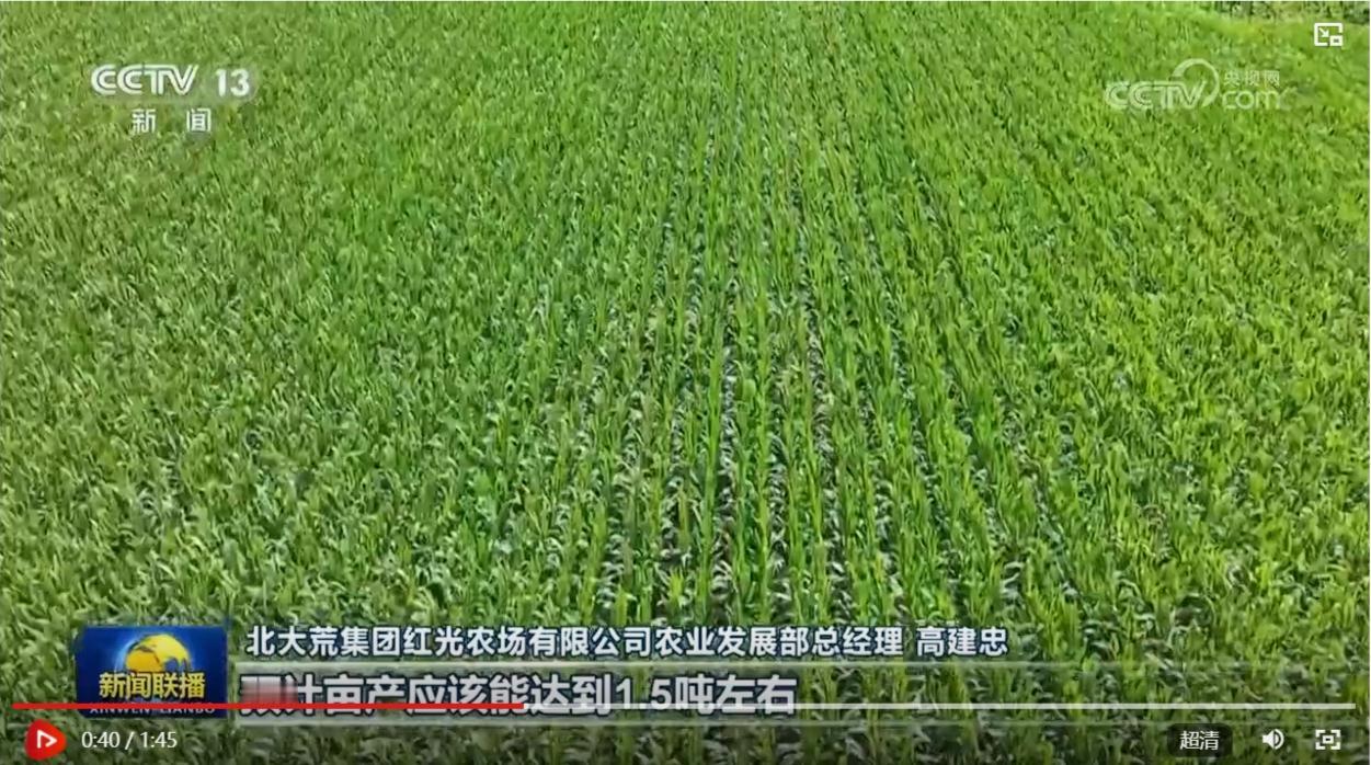 8月12日，央视报道黑龙江玉米亩产1.5吨上了热搜。很多网友质疑数据造假，吹牛不