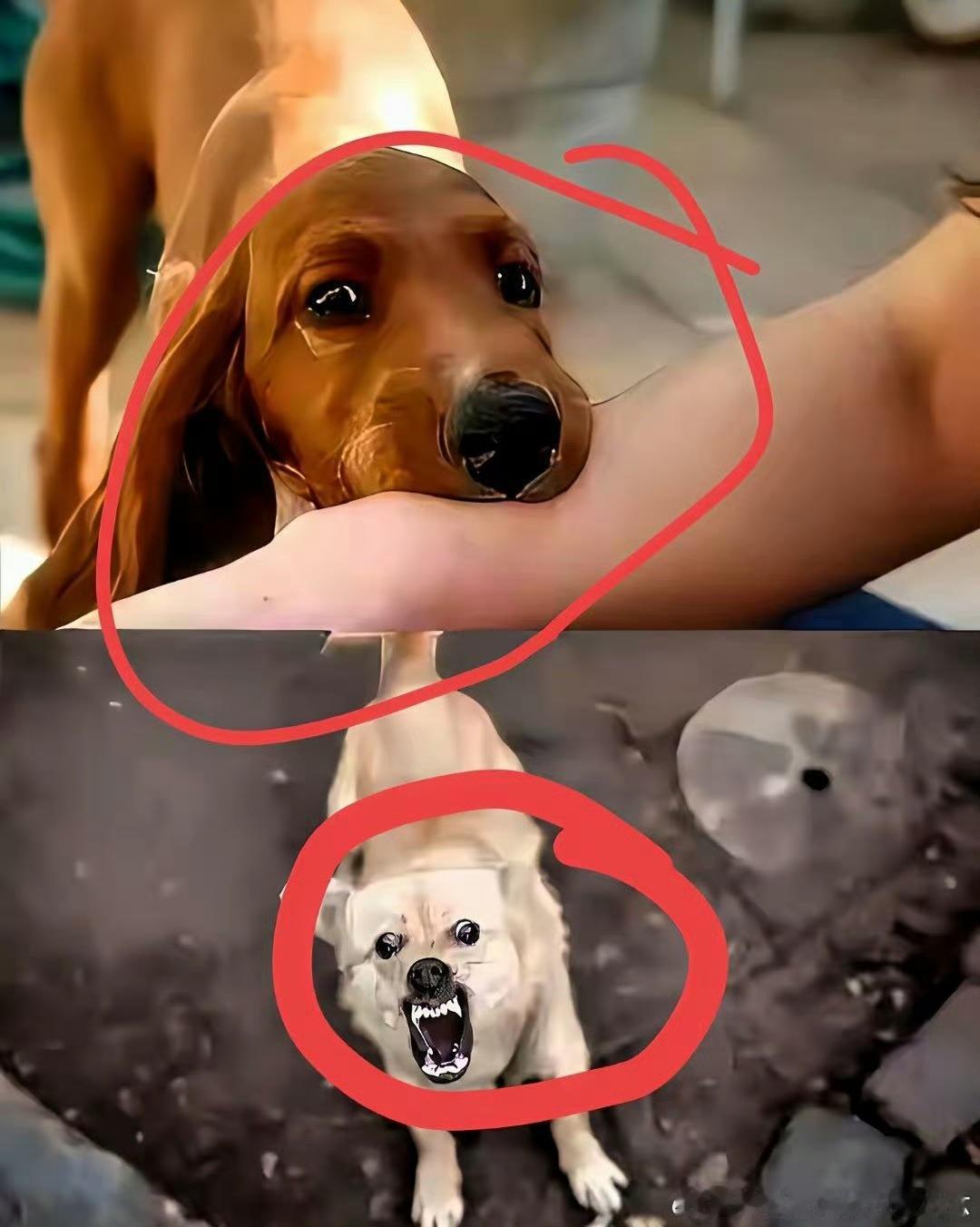 身份不该是越界的通行证
 
长治那场纠纷里，赵某晖的特殊身份或许成了硬气的资本，