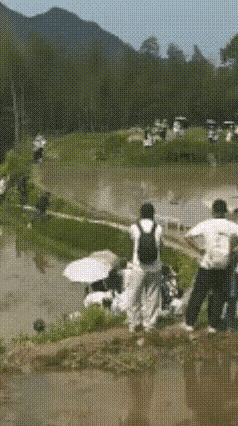 不懂就问，
这个农田没用了吗？