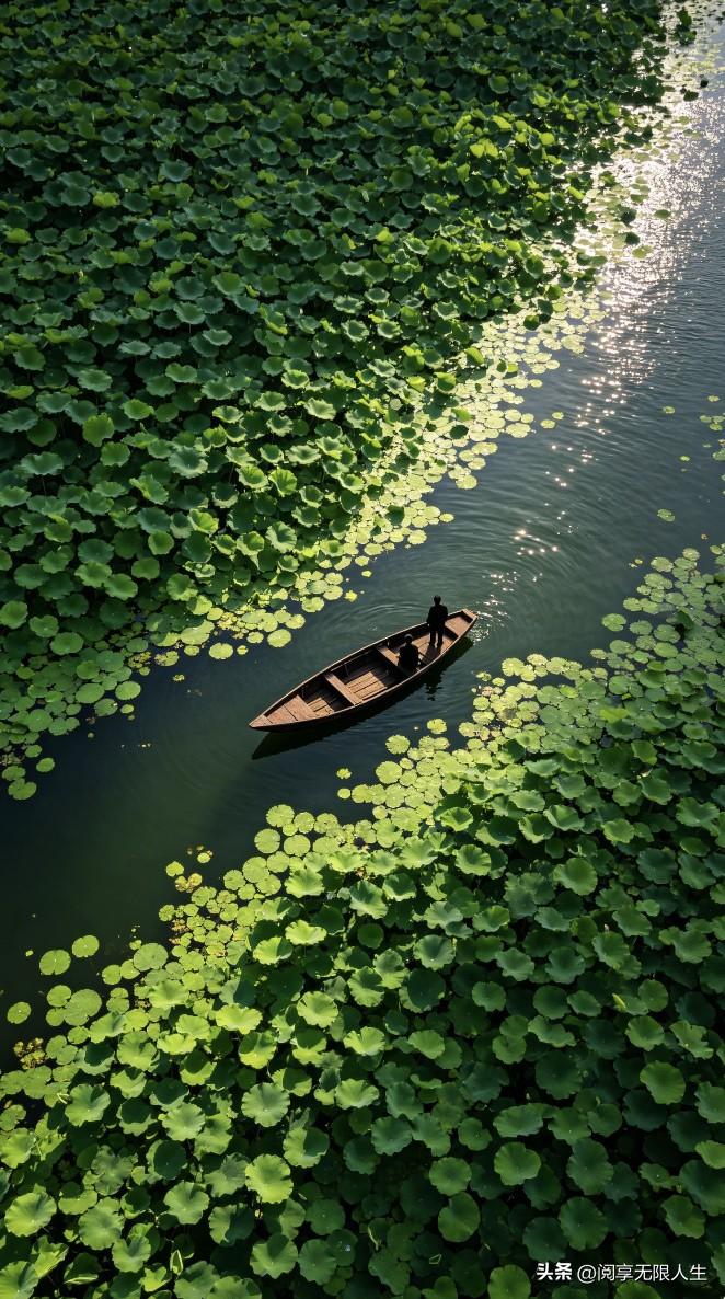 庄子讲过一个空船定律：“你驾船过河，一只空船撞上来，再暴躁的人也不会发怒；但如果