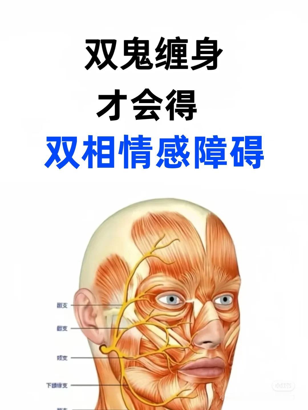 双鬼缠身，才会得双相情感障碍。
双向情感障碍，在中医里虽无直接对应病名，但可从“