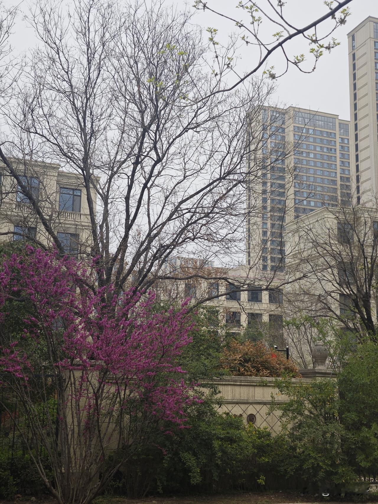 2026年西安楼市核心判断：止跌回稳、温和修复、K型分化，告别普涨普跌，进入“价