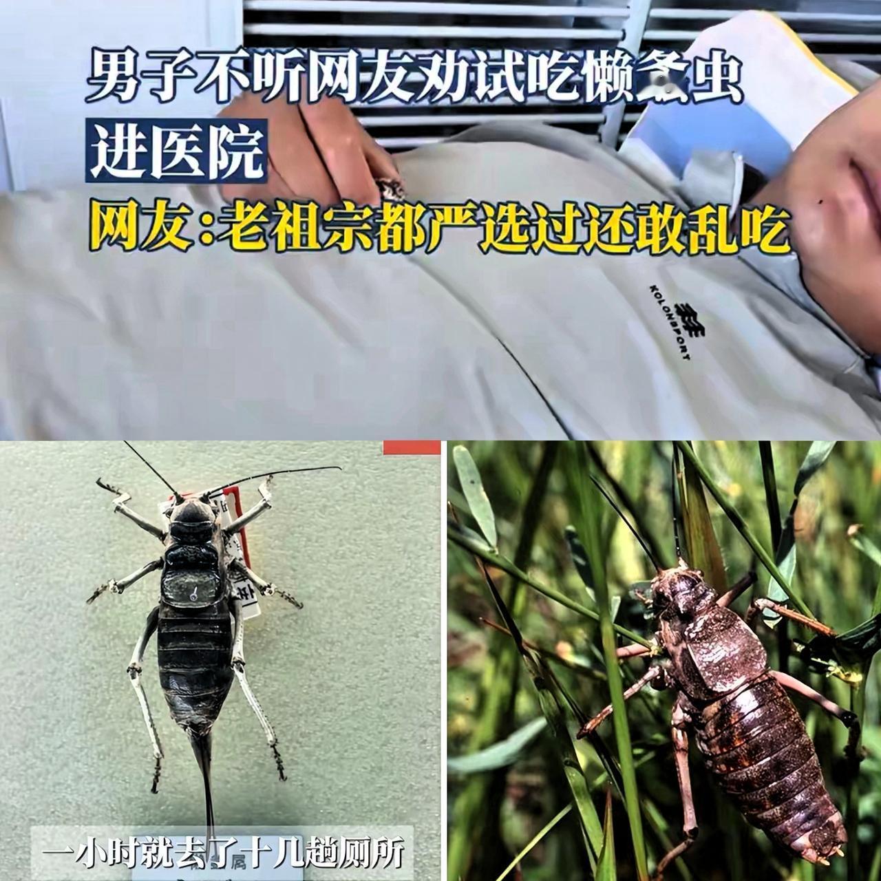 不听老祖宗的话，后悔了吧！
内蒙古男子不听劝吃 "油拉罐子" , 就吃一只导致上