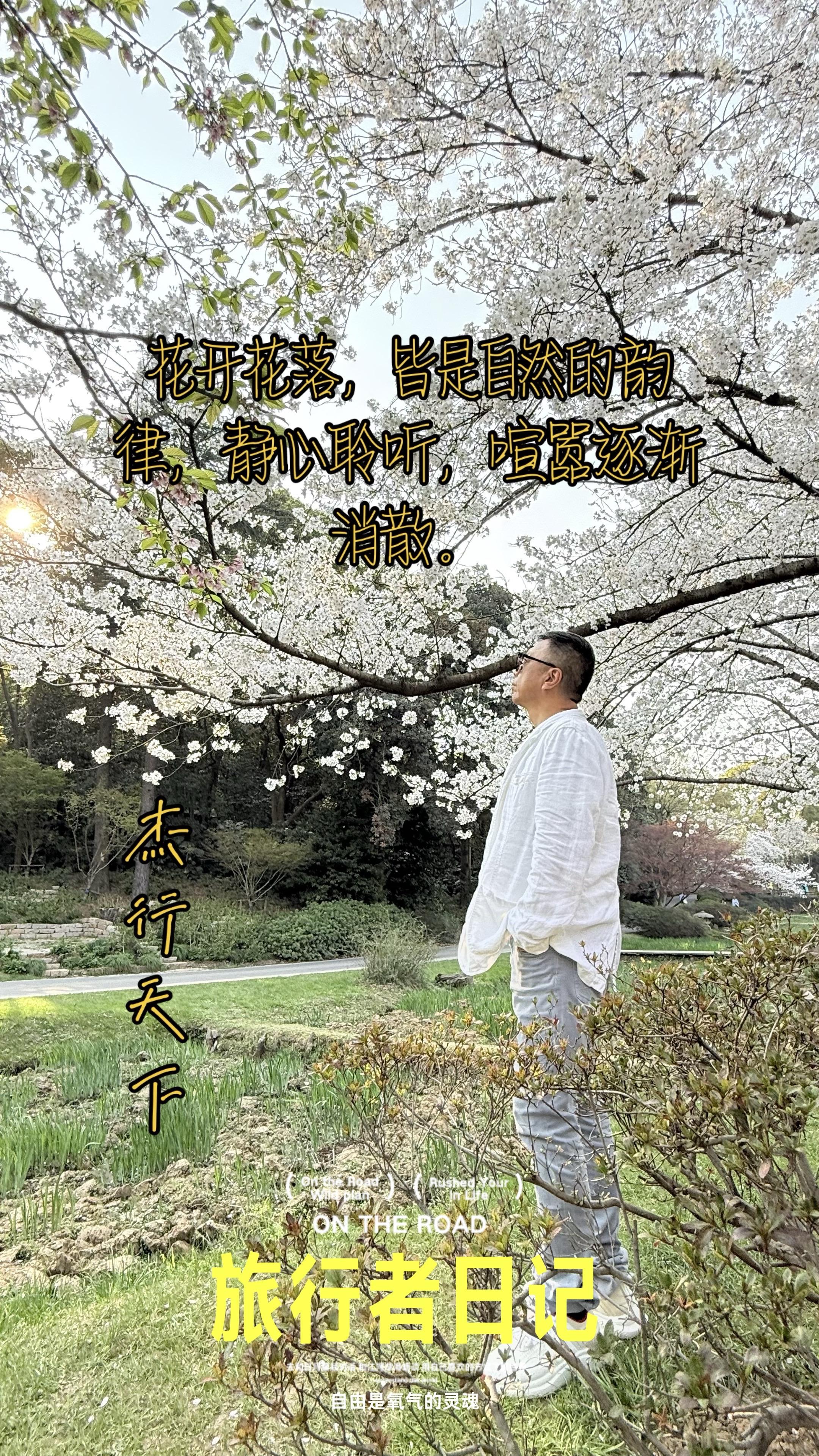 花开花落，皆是自然的韵律。花开花落，皆是自然的韵律，静心聆听，喧嚣逐渐消散。