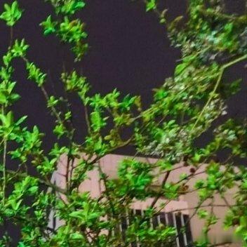 0000新时代天地广阔，处处是舞台，每个人都能走出自己的路。人生千万赛道，条条皆