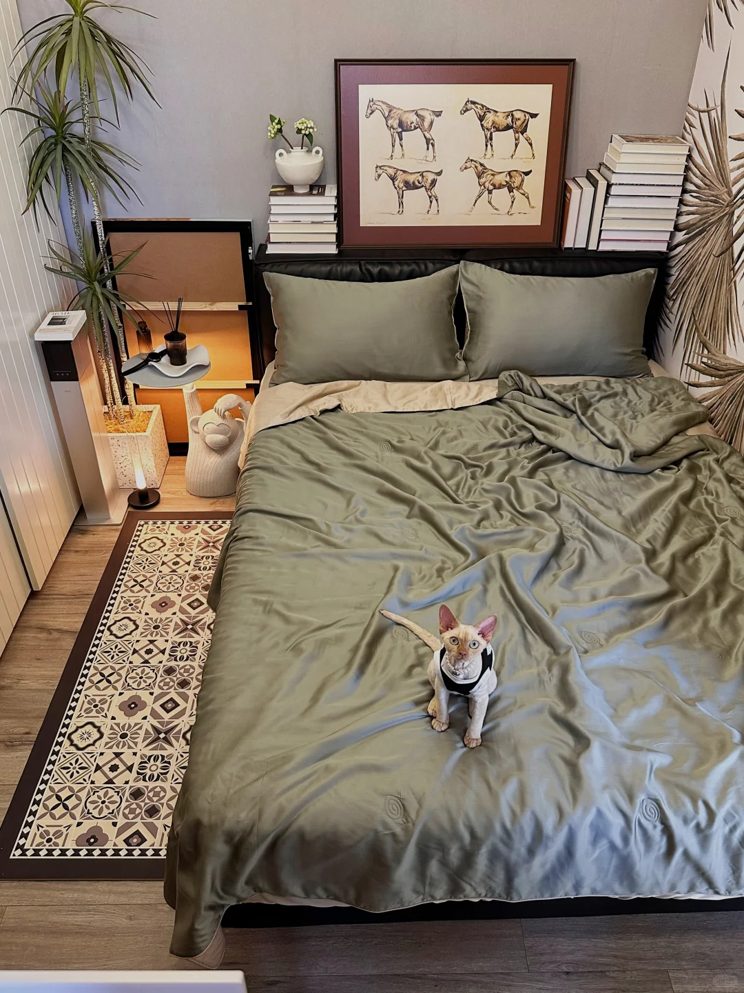 50w上车北京的小房子🏠生活尽早享受！