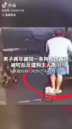 男子在小区里遛狗，一只没拴绳、穿着衣服的小型犬突然冲过来，试图与男子牵着的狗打架