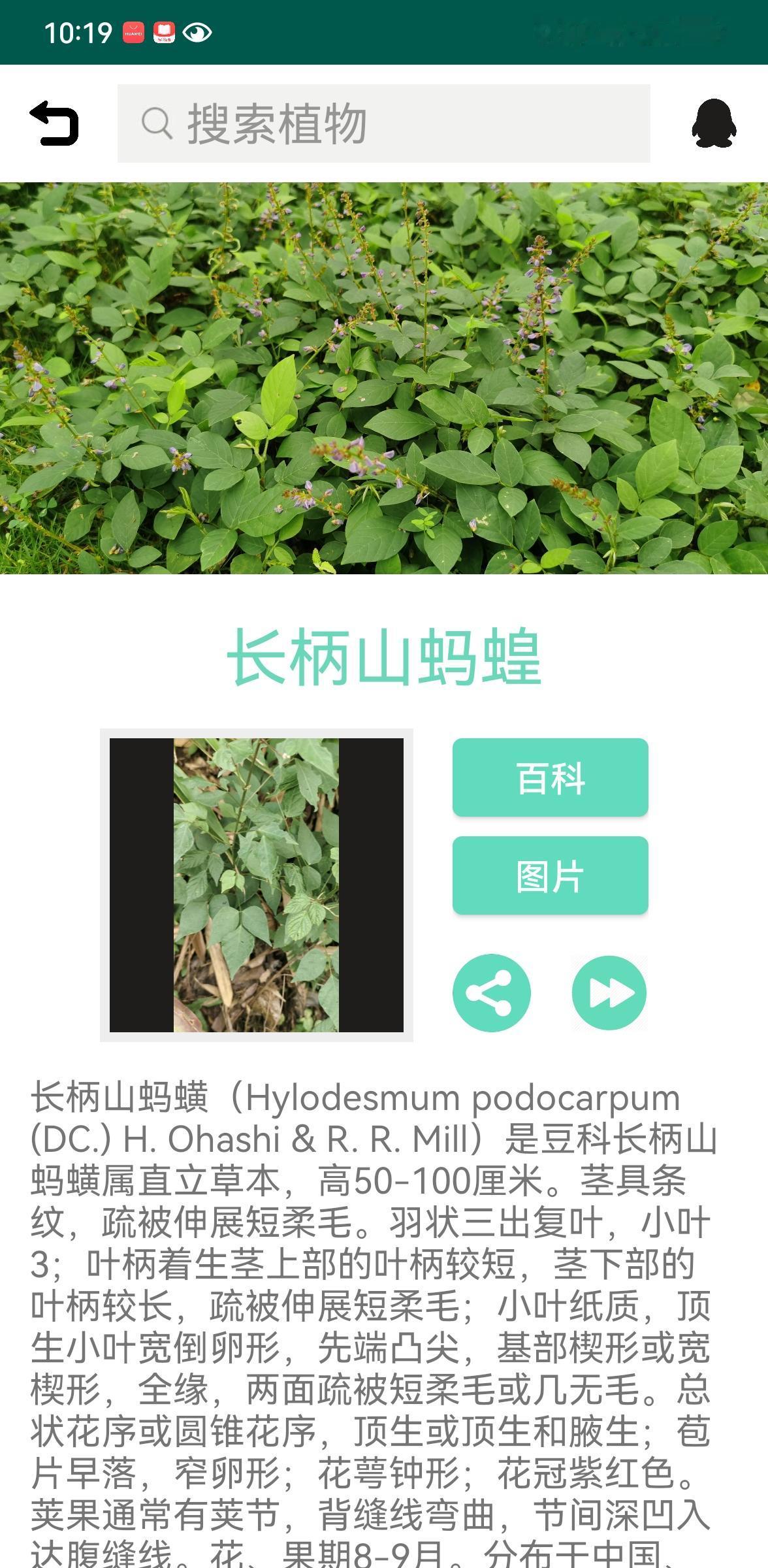 你敢信吗？明明是长在陆地上的绿植，却顶着个水生动物的名号！
闲逛时撞见一种植物，