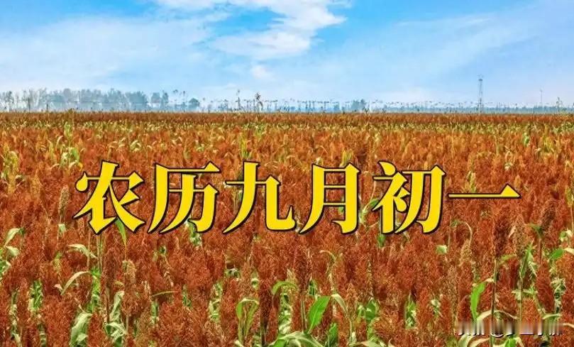明天九月初一，老话“初一吃三样，一年无病殃”，是哪三样？
 
时序流转，转眼就到