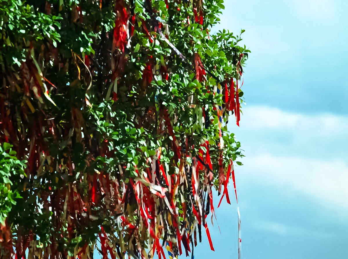 红绳祈愿 迎风祈福 收获美满很有中国年的味道看了这么多支CNY广告celine 
