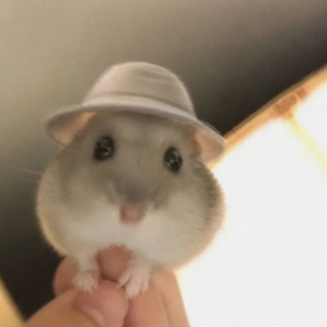 森森鼠时候 