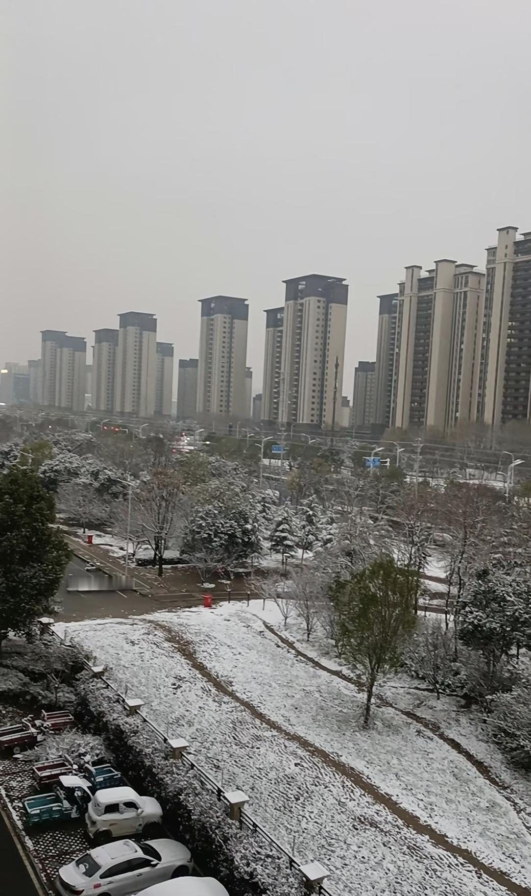 分享一张最近随手拍的照片