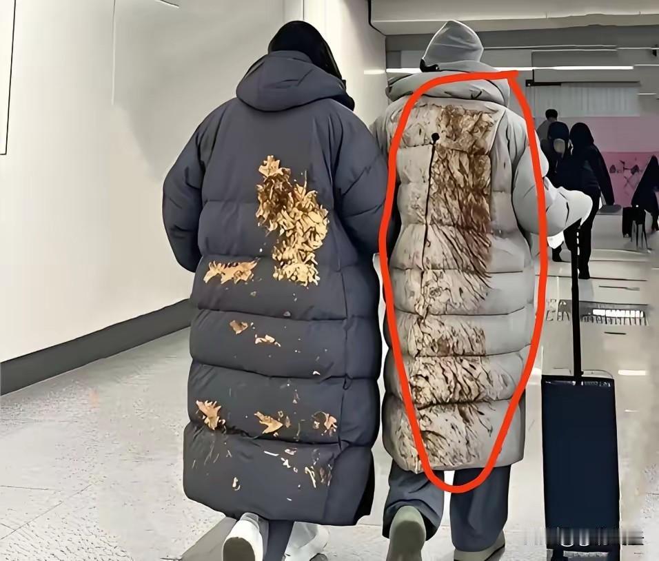 活了大半辈子了，没见过这么埋汰的人儿！

一后背的泥汤子都发霉了还敢穿出门。
​