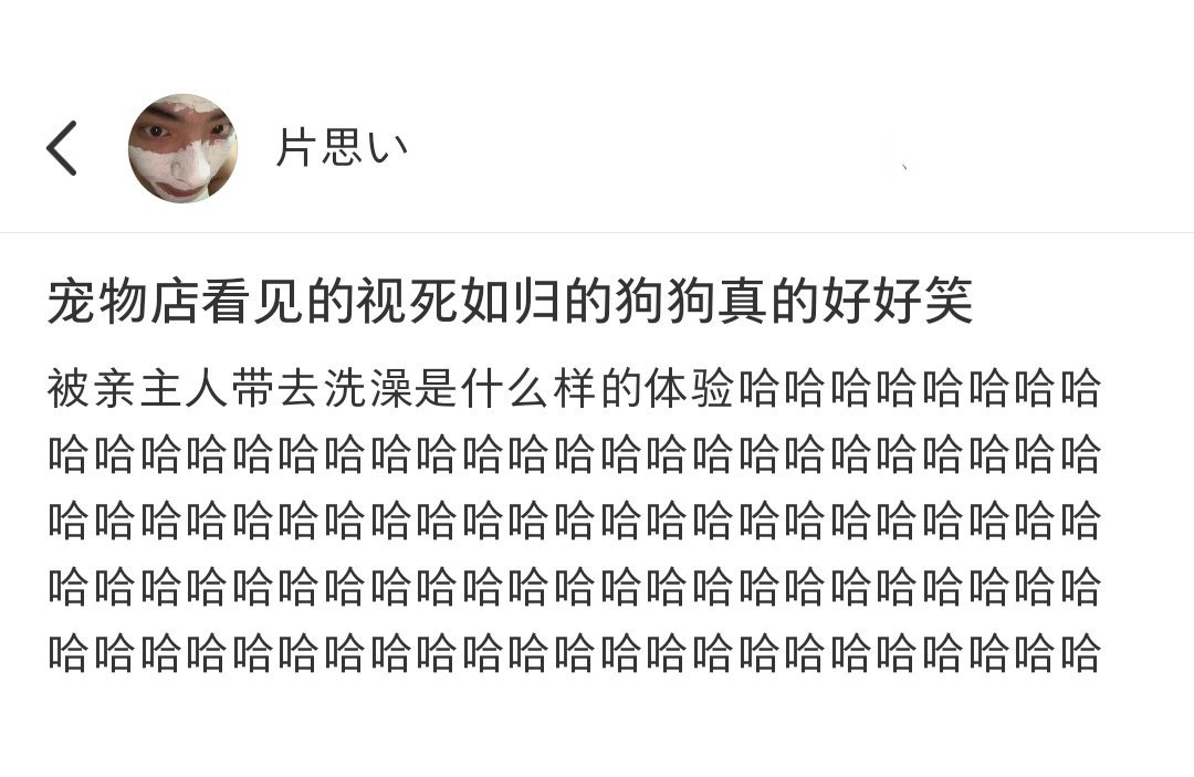 第一次在狗狗脸上看到视死如归的表情[doge] ​​​