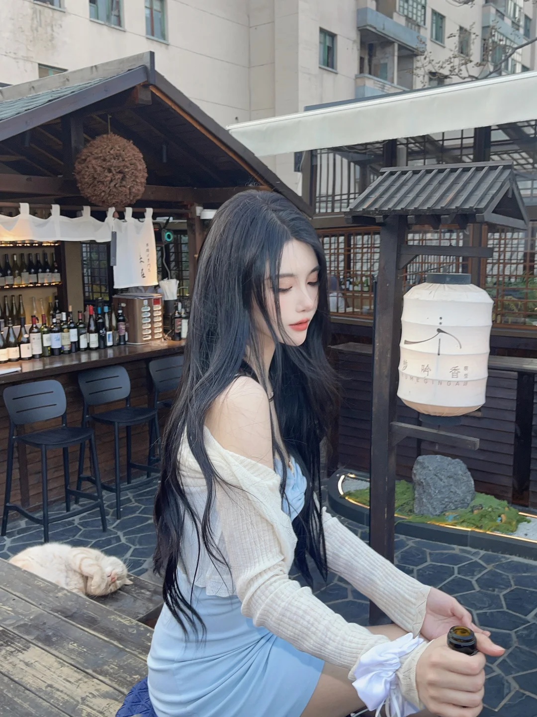 楼顶的氛围感🏮🐈