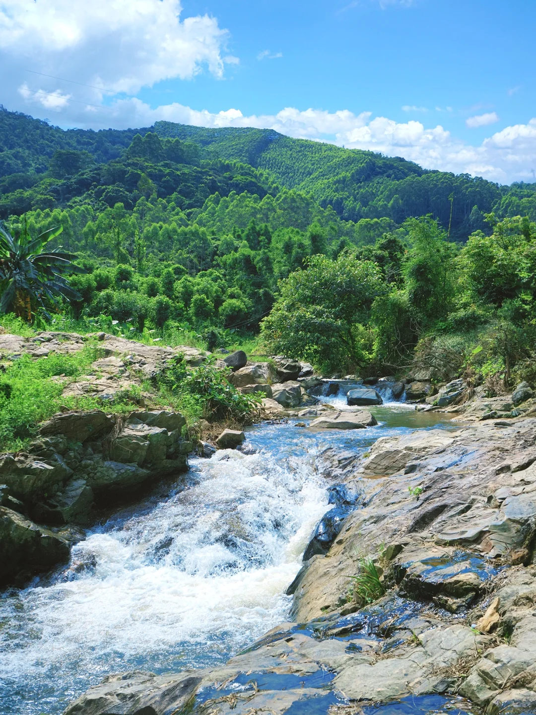 广州有自己的阿勒泰🌲这避世清凉山谷绝了~