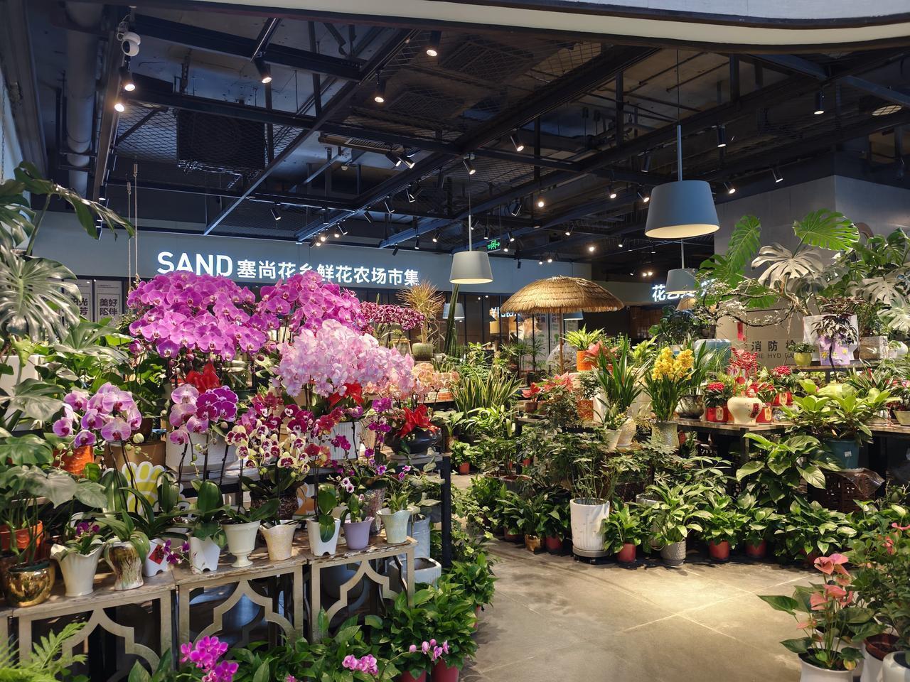 还能想起来小时候期盼过年的心情吗？每天用两只小手数着还有多少天就要到春节了，心中