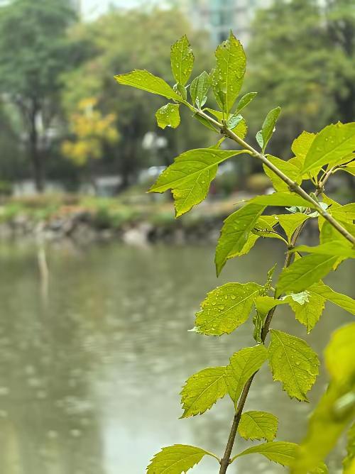 并非所有的人都值得善良
 
善良不是无底线的妥协，更不是不分对象的施舍。你的心软