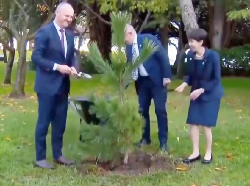 高市早苗在澳大利亚战争纪念馆的一跪，究竟是政治表演还是真心忏悔？这个画面被西方媒