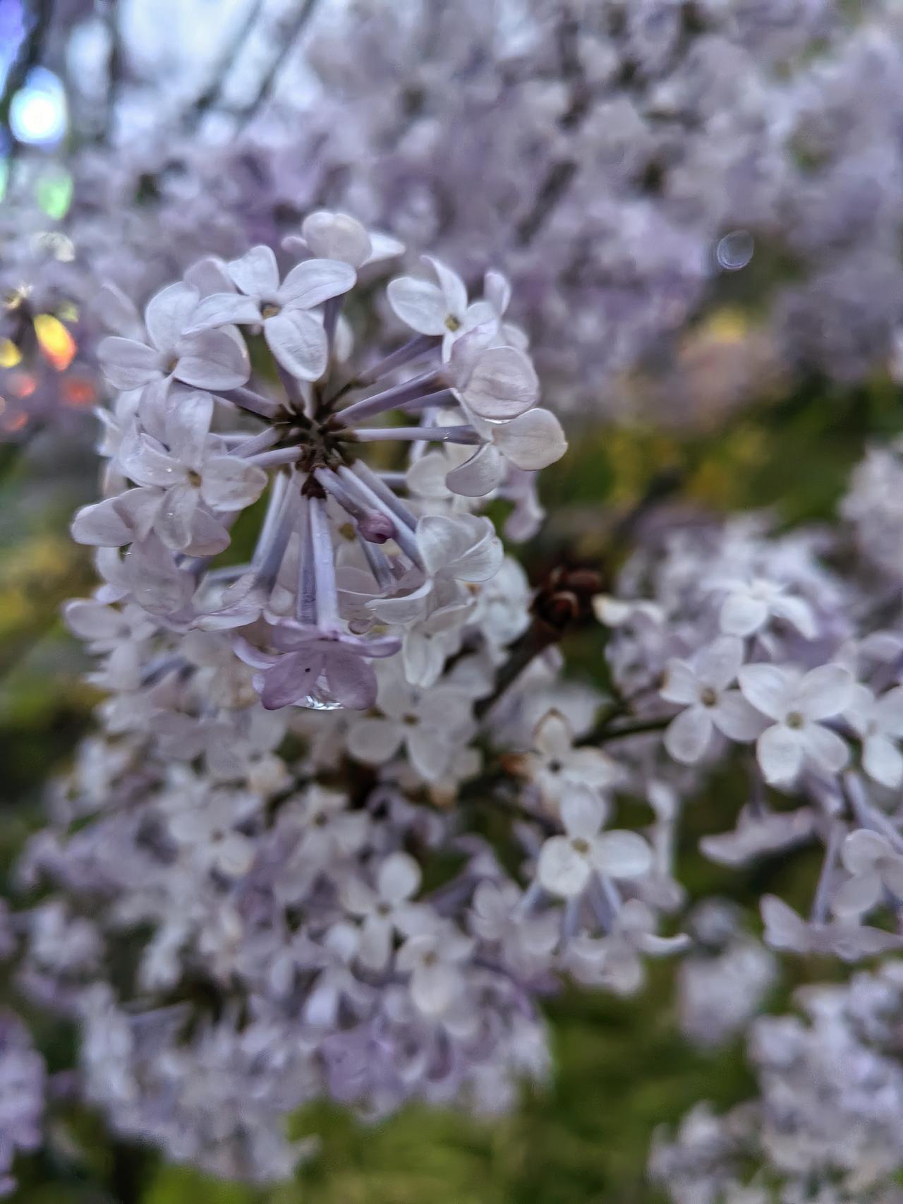 好几个人聊天说 “心软是自己短板”，“心软”怎么了？

发出这样感慨的人大部分是