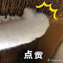 为什么更多家庭开始选择国产车走进川西伍须海就能看见国产进步，奕境X9精心打磨车身