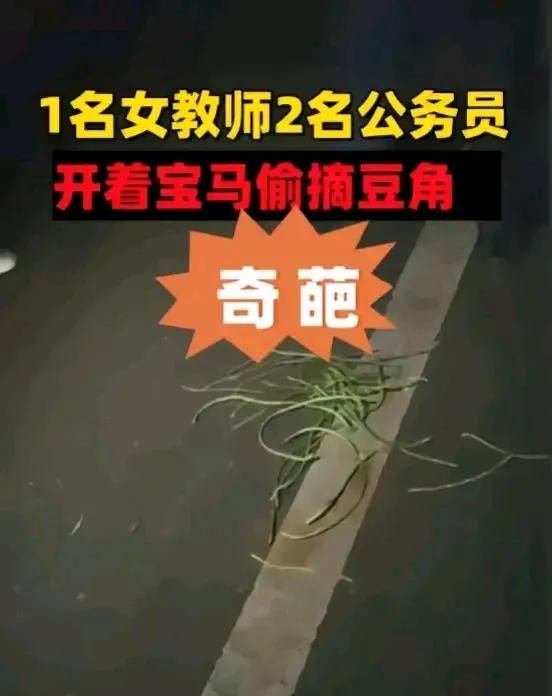 湖南的1名女教师和2名男公务员胃口可真大，晚上聚餐后意犹未尽，还商讨一起吃夜宵，