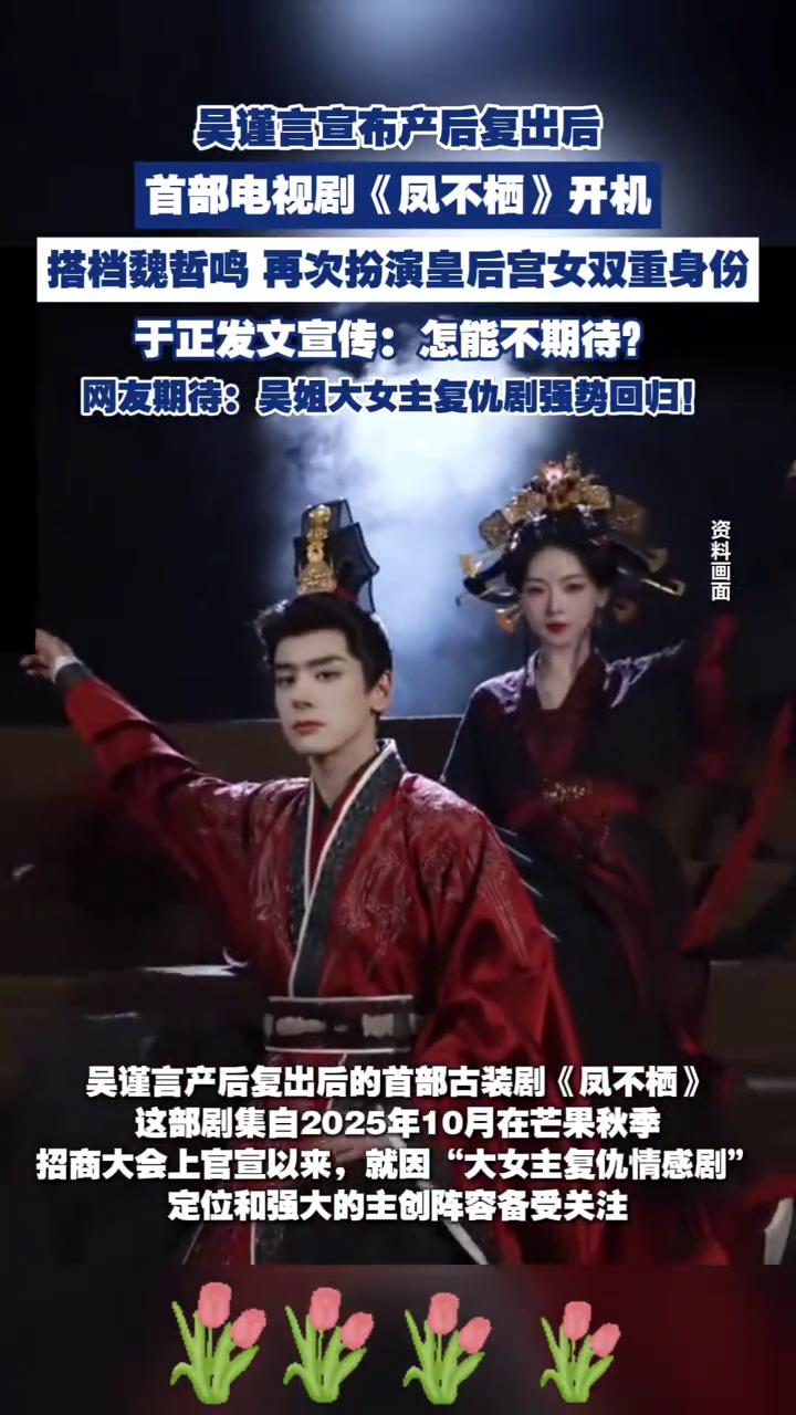 吴谨言宣布产后复出后首部电视剧《凤不栖》开机，搭档魏哲鸣再次扮演皇后宫女双重身份