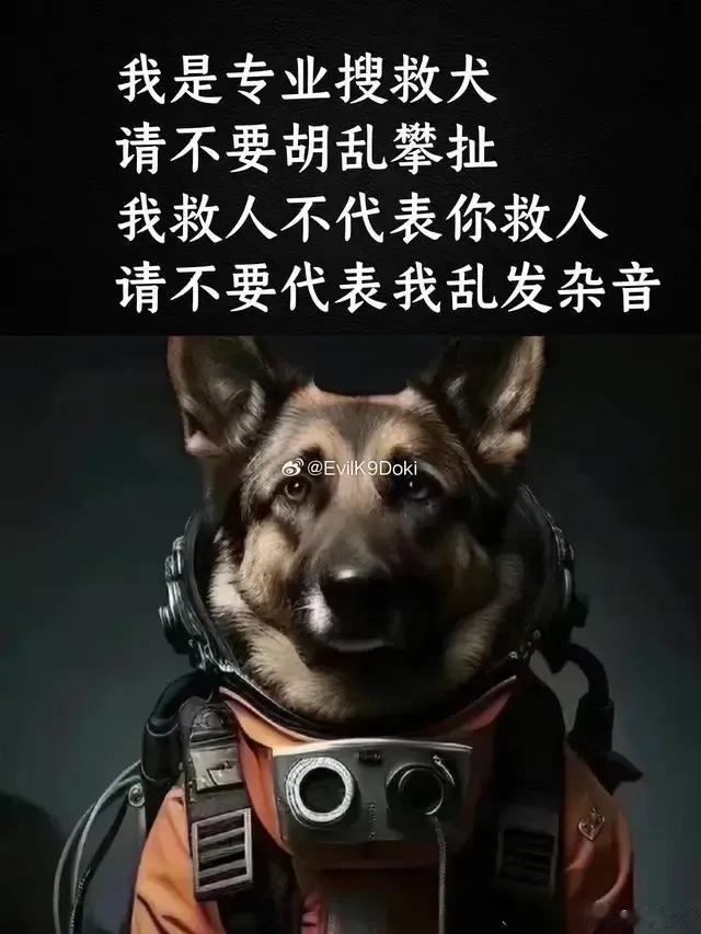 武汉养狗很早就规定要装芯片戴嘴套系狗绳打疫苗，为什么我知道？因为我当年养过哈士奇