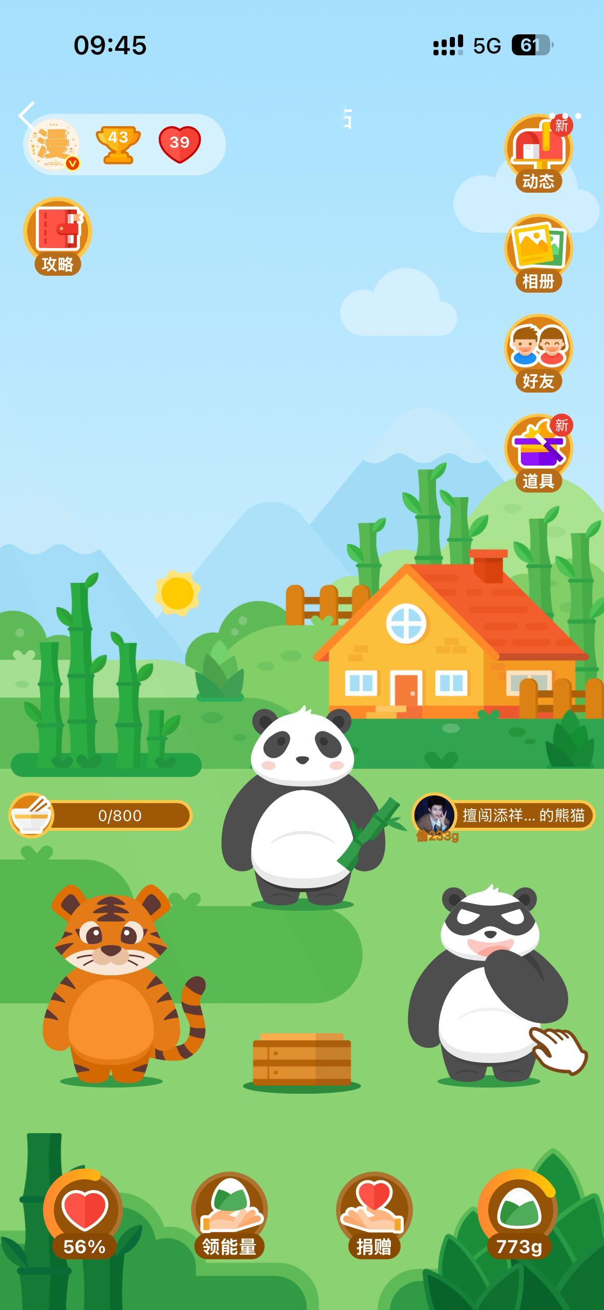 你在我这里两天了快来把它领回家