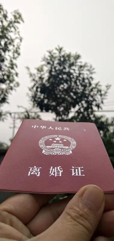不会，毕竟婚姻本就不易，理应且行且珍惜。二婚往往问题繁多，背叛者与被背叛者，日子