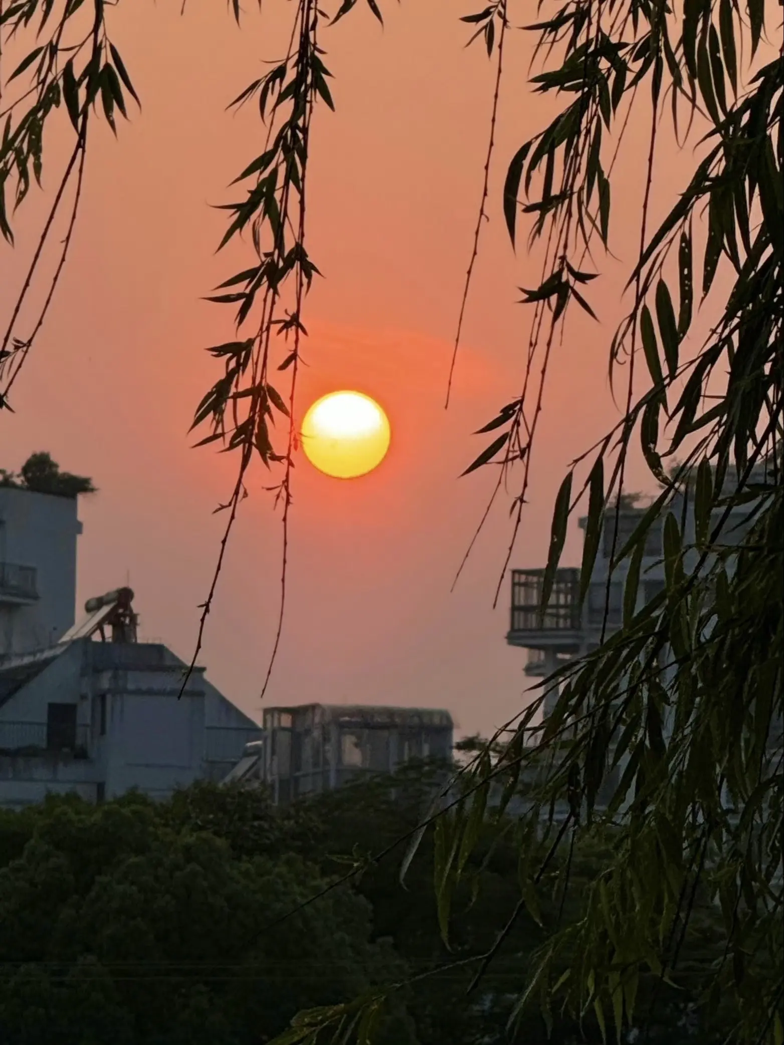 日落一天只有八分钟 但我会停下来拍给你看.
