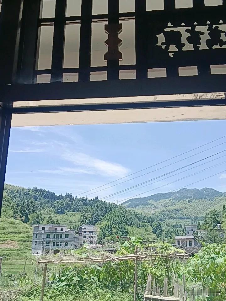 夏日随手拍
