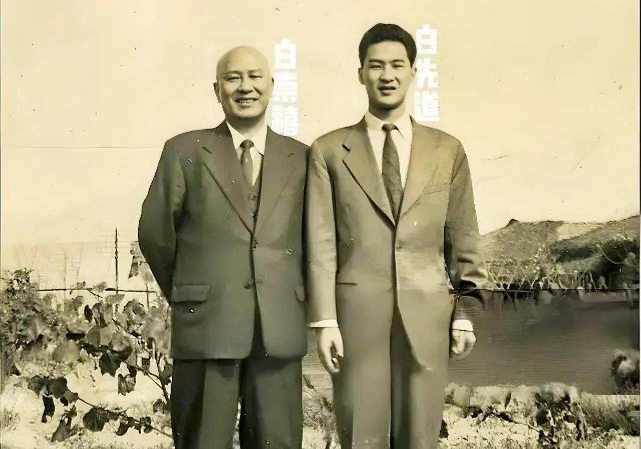 白先道是白崇禧唯一私生子，1931年生于南宁，生母为当地王氏女子。

此事被白崇