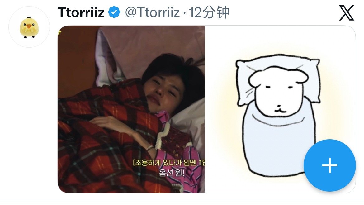 小狗🐕 