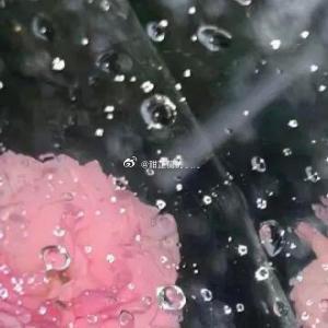 冬末的风从门缝灌进来。灶膛里的火苗歪了一下。陈小满端着一只豁了口的粗瓷碗，蹲在灶