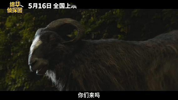 金刚狼给羊打工颠覆认知！昔日金刚狼变身牧场牧羊人，《绵羊侦探团》英式悬疑拉满，软